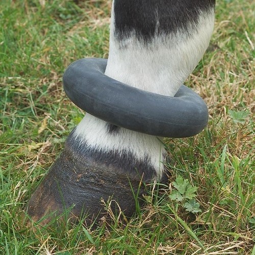Horse pony rubber sausage boot - pony,